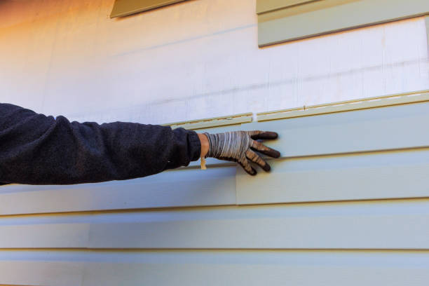 Best Insulated Siding Installation  in Rochester, IL